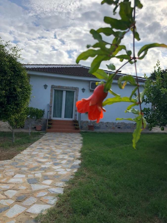 Casa Lusentum Villa Torrevieja Exteriör bild